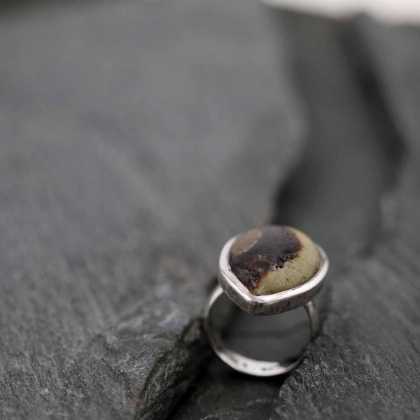 קלציט ספקטריה